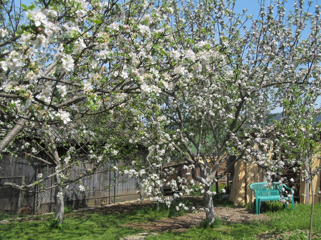 Appartamento Privat Lubka Zuberec Esterno foto